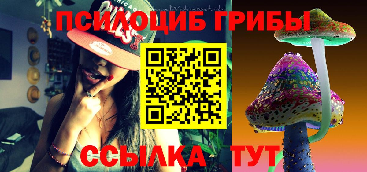 Псилоцибиновые грибы прущие грибы Партизанск