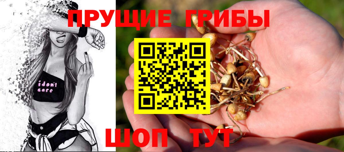 Галлюциногенные грибы прущие грибы  купить наркоту  Партизанск  Вход с VPN 